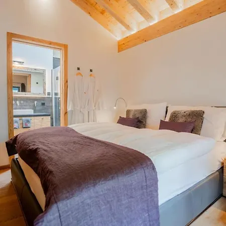 Cozy Penthouse 采尔马特
